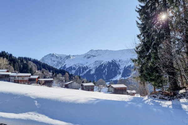 Agréable parcours vers l’auberge Alpenrösli