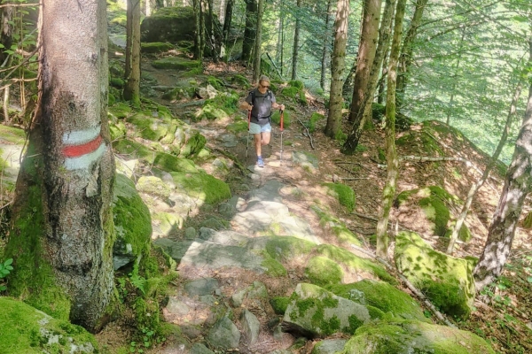 Alla scoperta della romantica valle di Campo