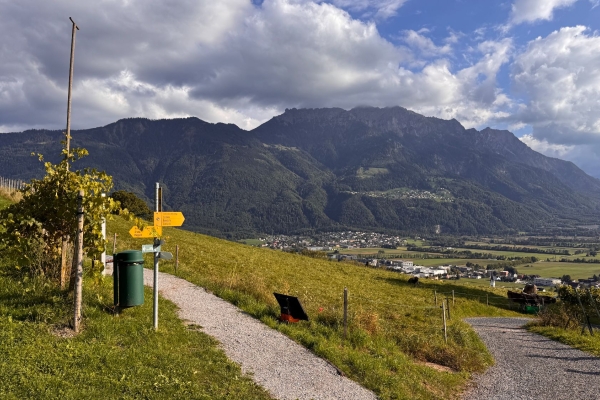 Halbtageswanderung Region Sarganserland/Werdenberg