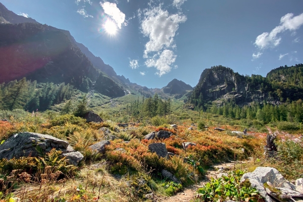 R42: La Caffe - Alpage de Bovine - Plan d'en Haut - Col de Champex - Champex-Lac