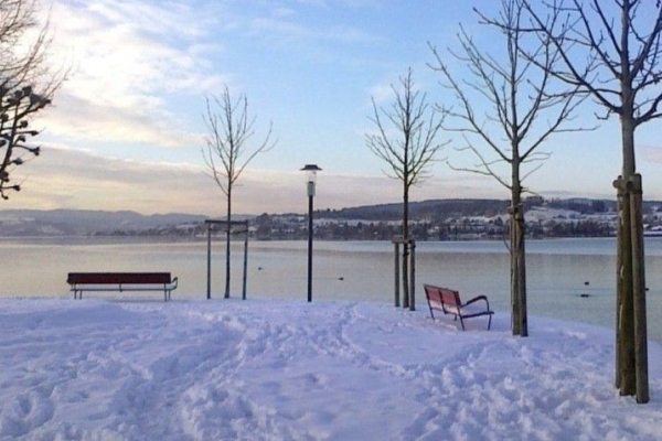 Wasservögel entlang dem Uferweg