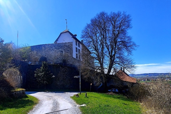 10. Die Schlacht von Bramberg (BE)