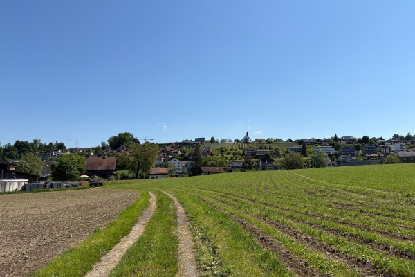 Au soleil le long de la Reuss