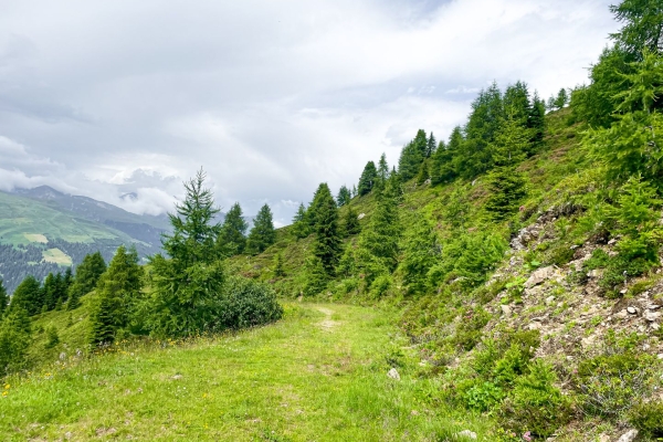 Circuit de randonnée sur le Rinerhorn