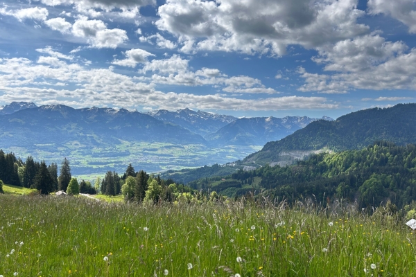 Von Gfellen über die Schrotenegg zur Lütholdsmatt