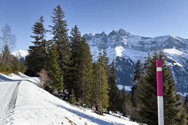 Quiétude et beau panorama dans le Val d’Illiez