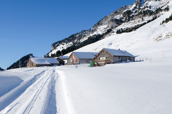 Randonnée en raquettes au Mattstogg