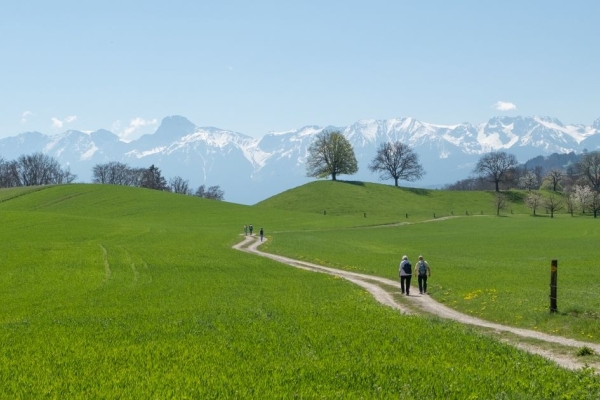 R28: Kehrsatz - Englisberg - Obertoffen - Thurnen
