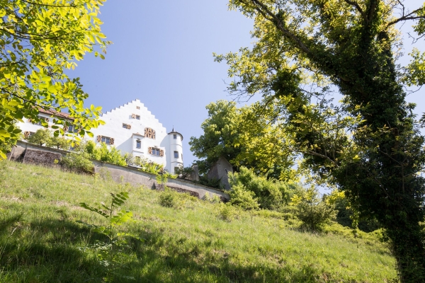Le jardin thurgovien de Charlemagne