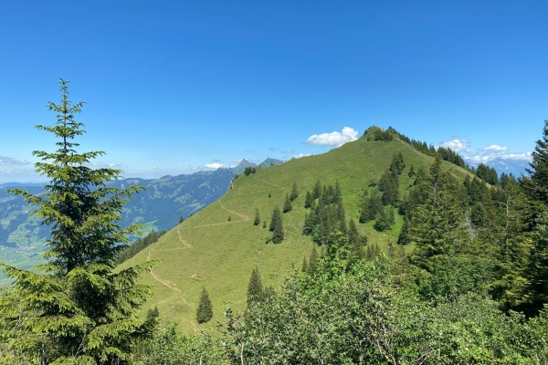 Von Buttikon ins Innerthal