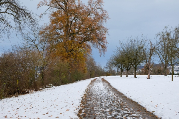 Douceur près du lac de Baldegg