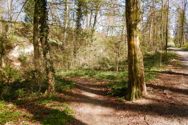 Sulle rive della Reuss immersi nella natura
