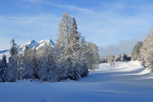 Schneeschuhwanderung Trogen-Bürgenstock