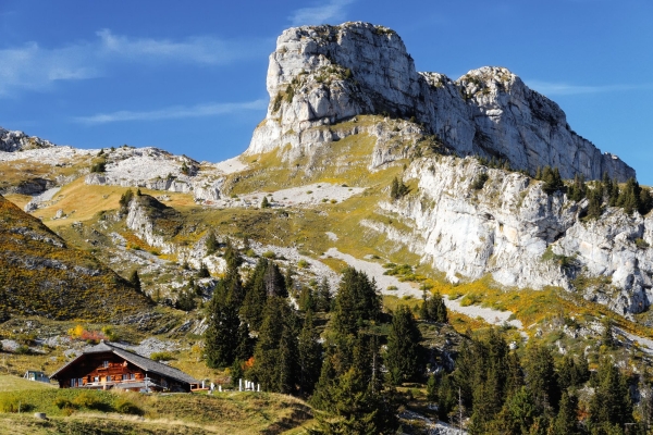 R31: Leysin - Crête du Fer - Tour de Famelon - Col de la Pierre du Moëllé - La Lécherette