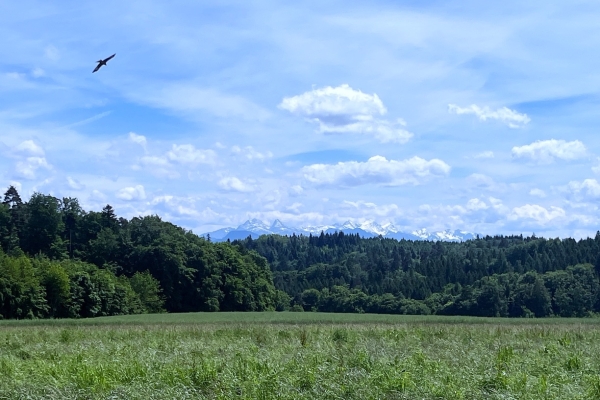 61. Rund um Corminboeuf