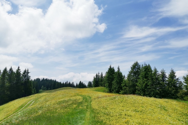 Belles collines de l'Entlebuch