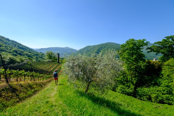 Le plein d’énergie au-dessus de Cademario