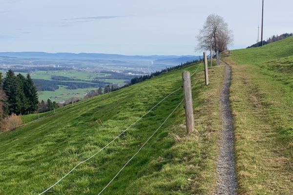 Über die Würzenegg