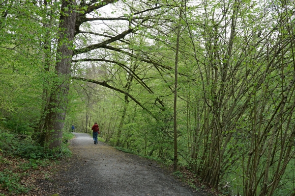 Histoire industrielle zougoise