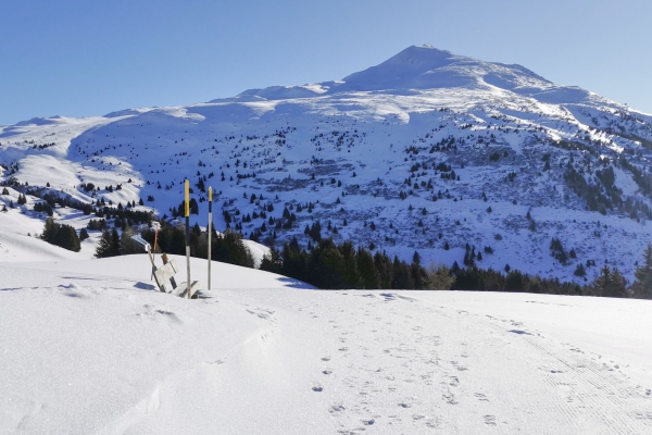 Verschneite Hochebene im Domleschg