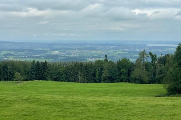 Über den Tannenberg