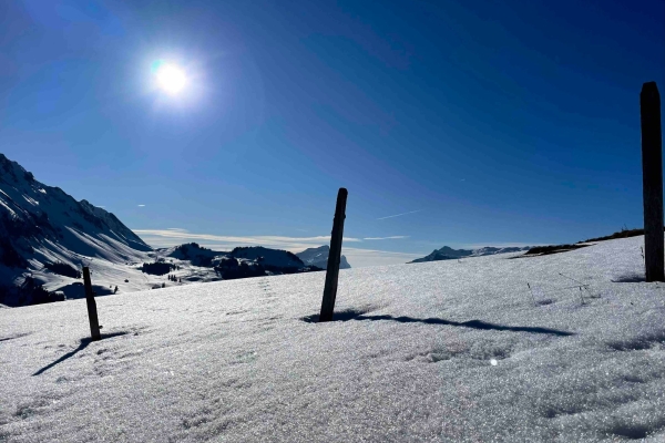 Ein wahrer Genuss: Vollmond und Fondue