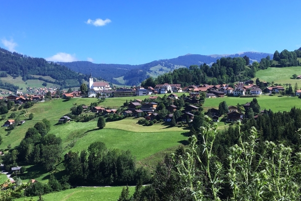 49. Roestigraben : étape 10, Charmey - Neirivue