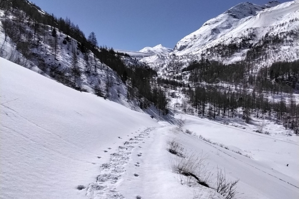 R11: Saas-Almagell - Eienalp - Saas-Almagell