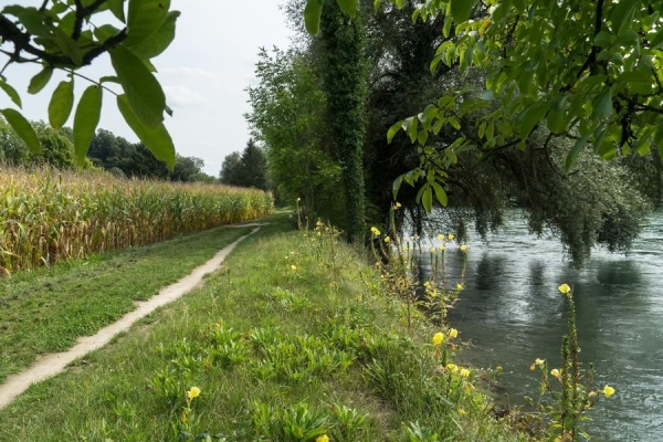 Von der Reuss zur Limmat /  Mellingen - Baden