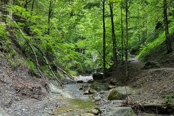 Attraverso la fresca gola di Choleren