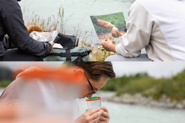 Forscher Rucksack Innauen Bever