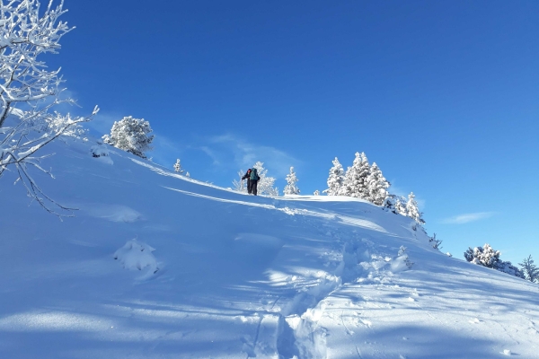 2. Schneeschuh- oder Winterwanderung auf dem Grenchenberg