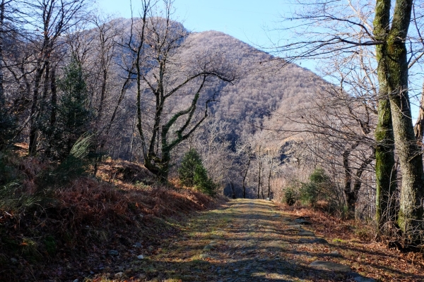 Über die Strada Romana am Monte Ceneri