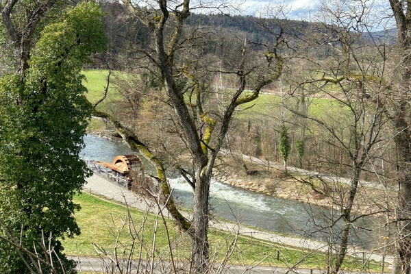 Rundwanderung bei Bülach