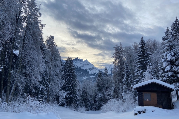 Winterwanderung vom Brünig zum Hasliberg