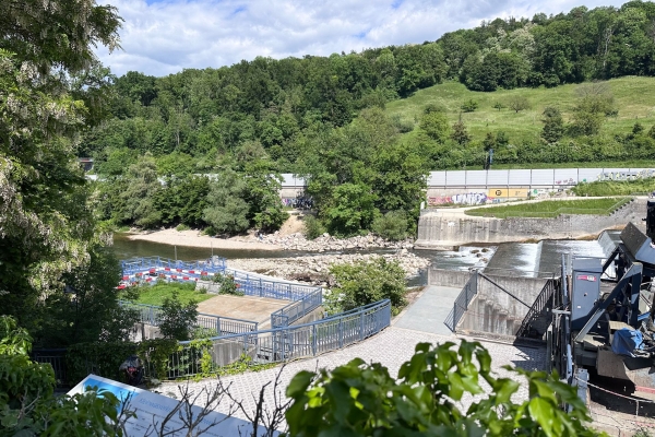 Au printemps près du canal de Sankt Alban