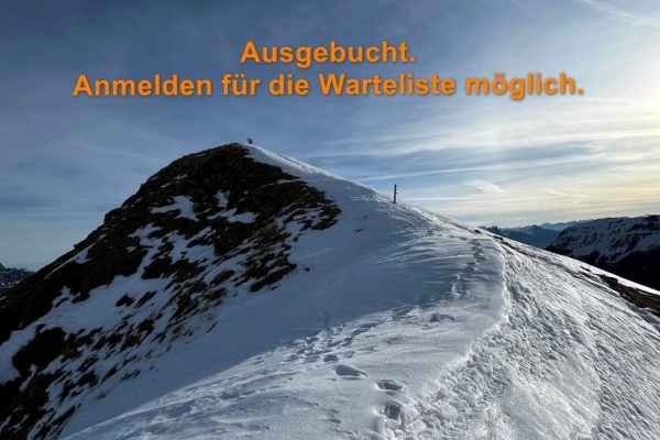 Sanftes Gleiten zur Alp