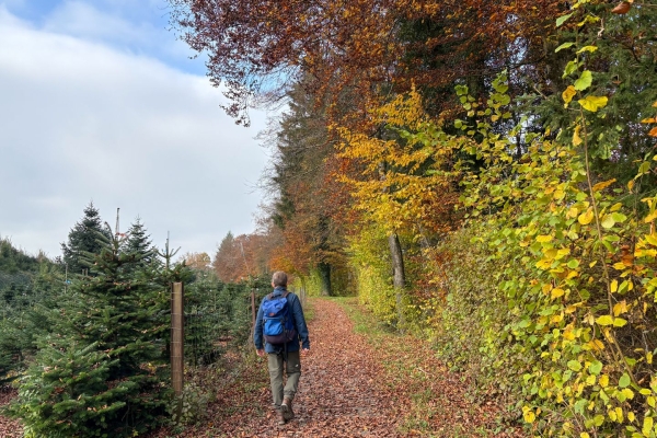 Dans l’Auenschutzpark argovien