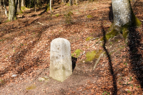 Deux tours dans la campagne bâloise