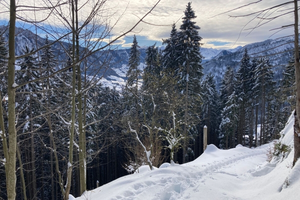 SCHNEESCHUHWANDERUNG EGGBERGE