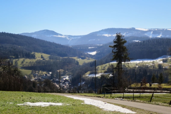 Von Dornach nach Seewen 