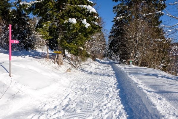 Sous le Chasseral, au-dessus du brouillard