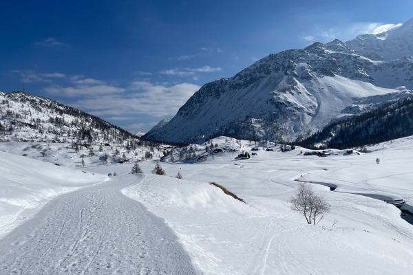 Courte randonnée au col du Simplon
