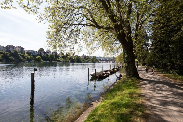 Sur les traces du sel entre Diessenhofen et Schaffhouse