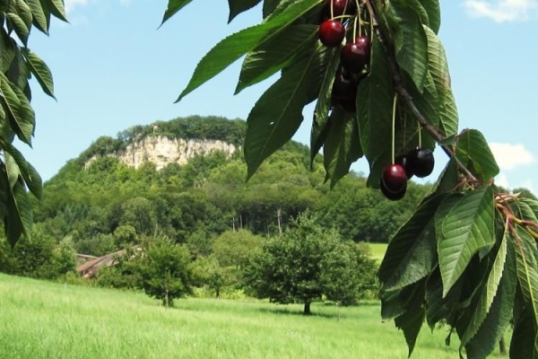 Wandertreffen AG, SO, BS, BL - Route 3
