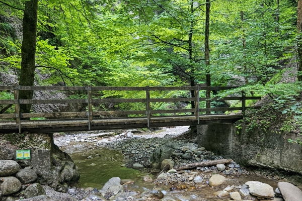 Attraverso la fresca gola di Choleren