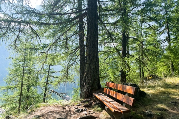 Zum Aussichtspunkt hoch über dem Mattertal