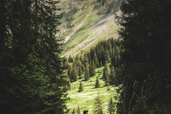 Hilferepass im Entlebuch