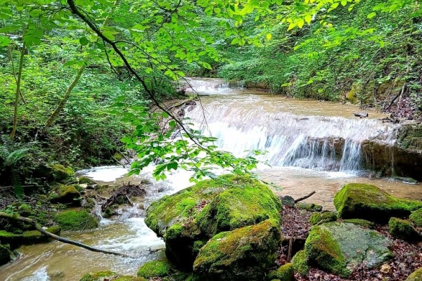 Über den Pfannenstiel