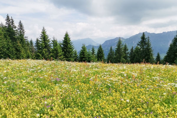 Gipfelglück im Entlebuch